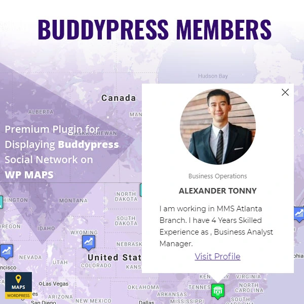  BuddyPress Members